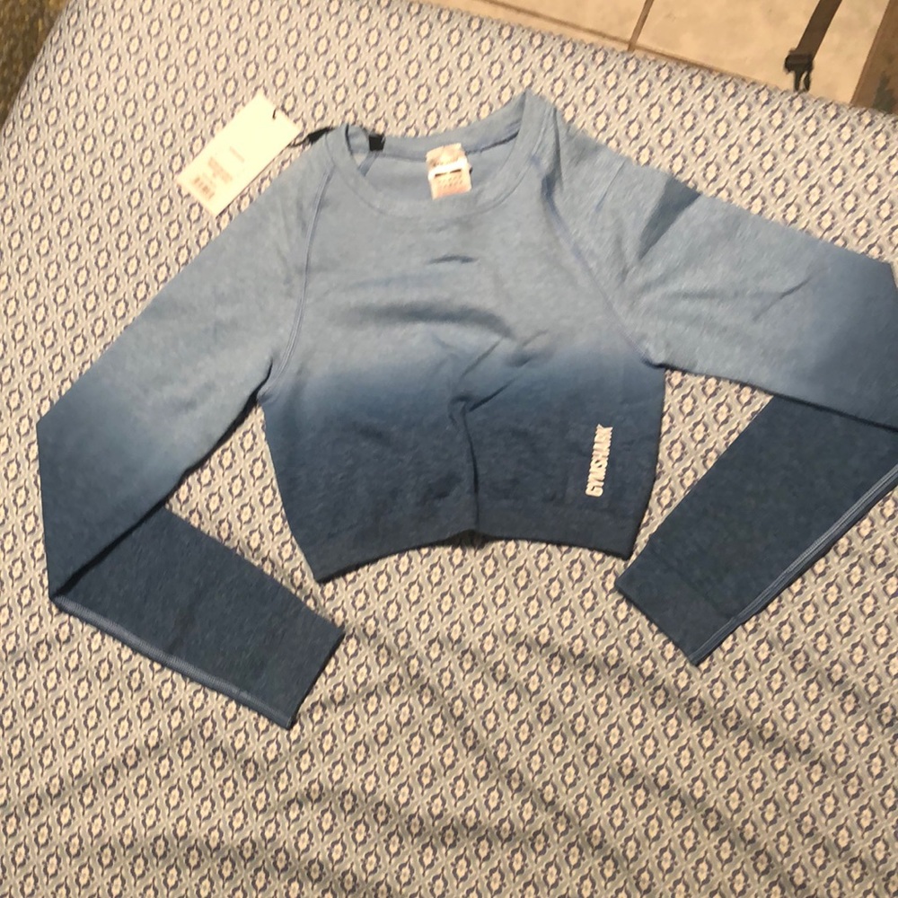 Adapt Ombre Seamless Crop Top Powder Blue Marl/Luna Blue Small